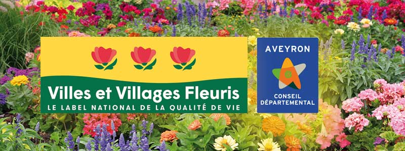2021-oct-villages-fleuris